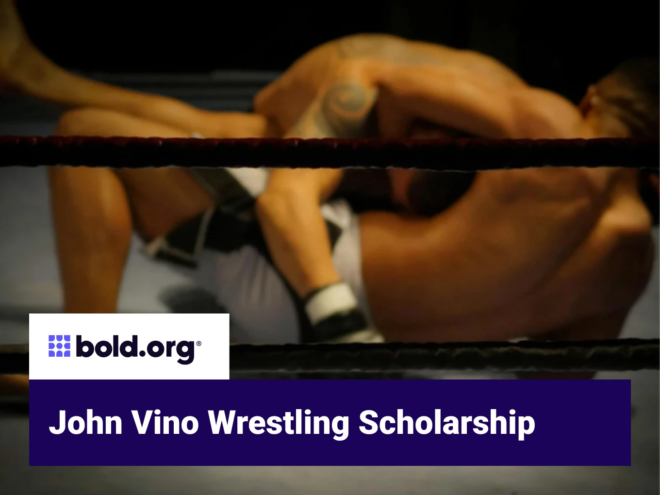 John Vino Wrestling Scholarship