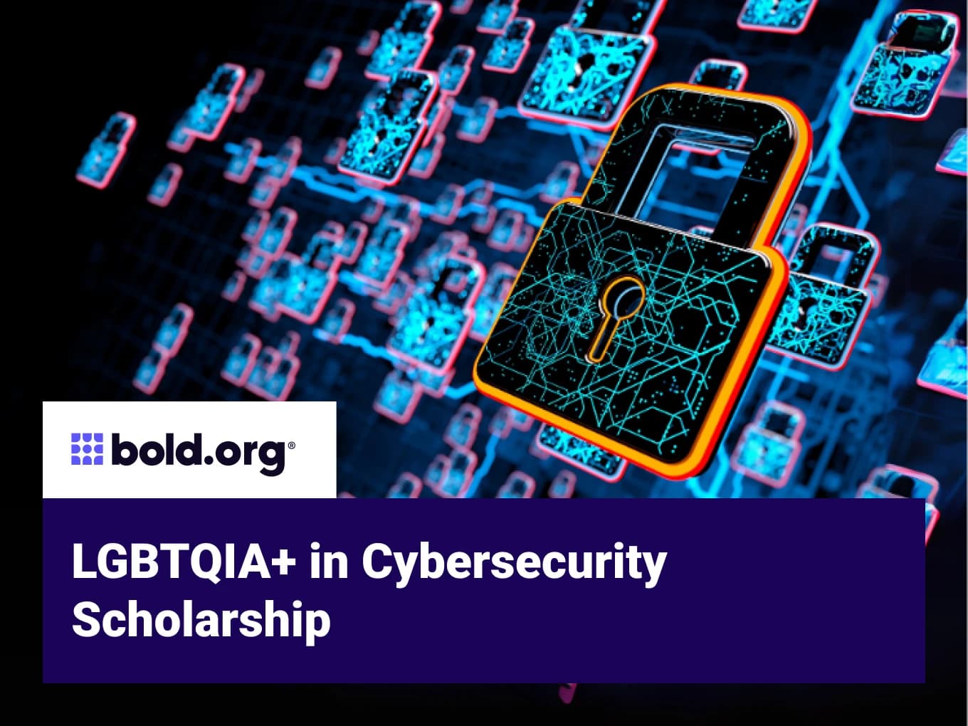 LGBTQIA+ in Cybersecurity Scholarship