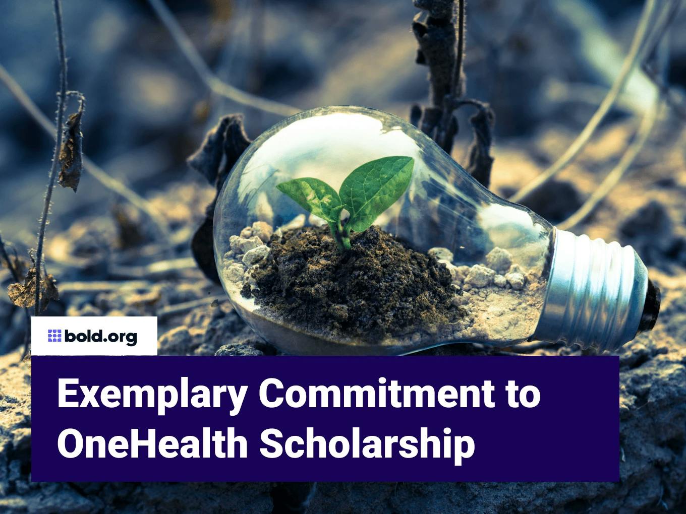 Exemplary Commitment to OneHealth Scholarship