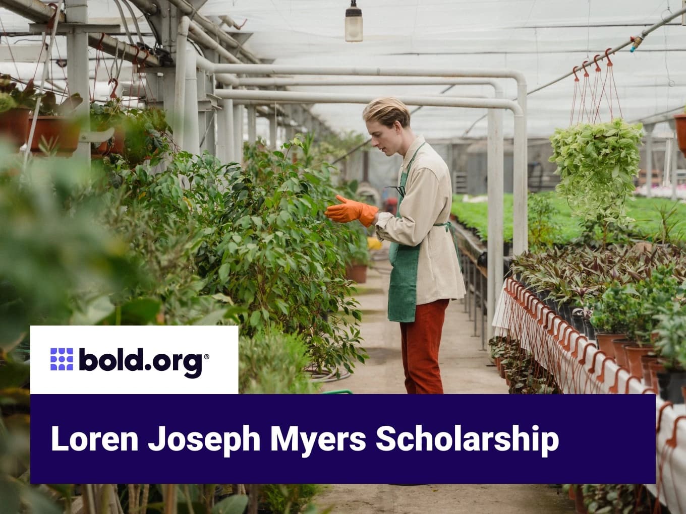 Loren Joseph Myers Scholarship