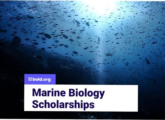 Marine Biology Scholarships