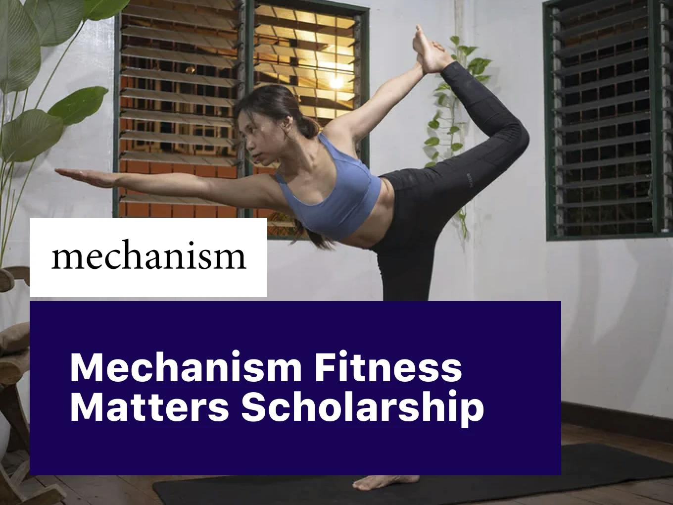 Mechanism Fitness Matters Scholarship