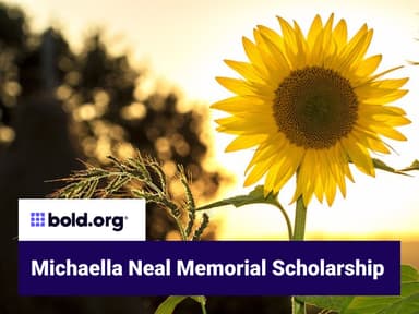 Scholarship cover image