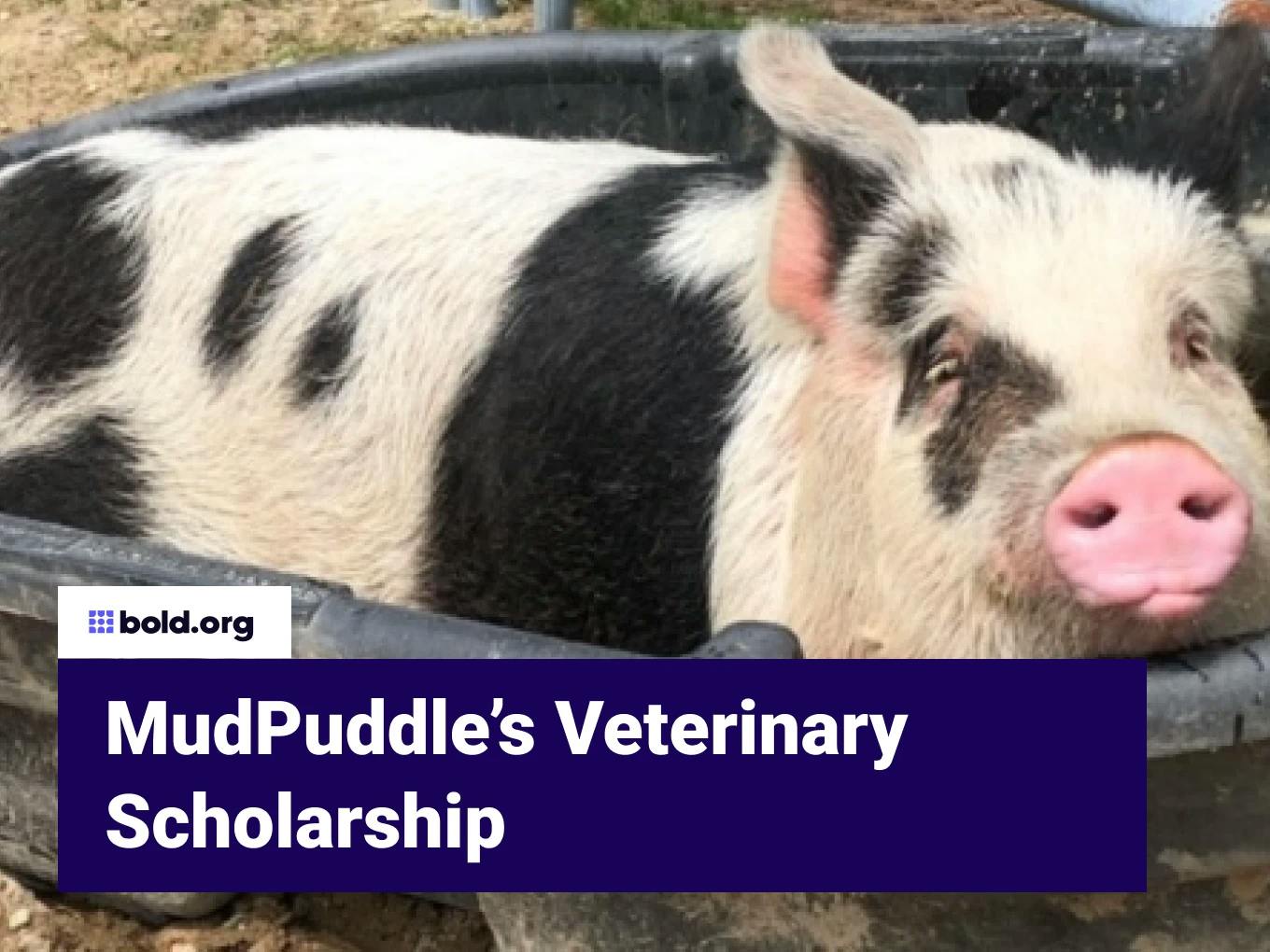 MudPuddle’s Veterinary Scholarship