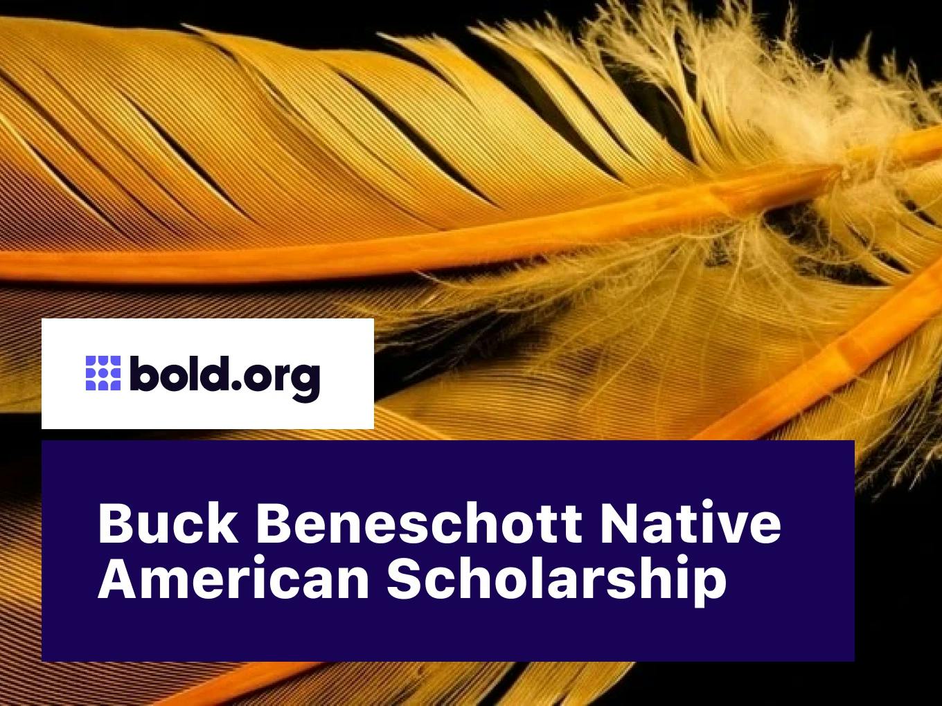 Buck Beneschott Native American Scholarship