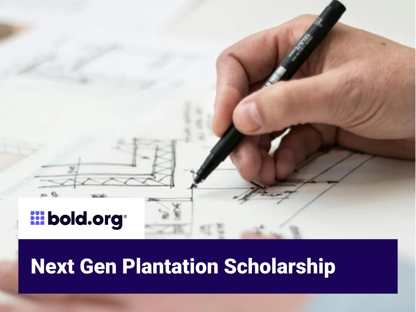 Next Gen Plantation Scholarship