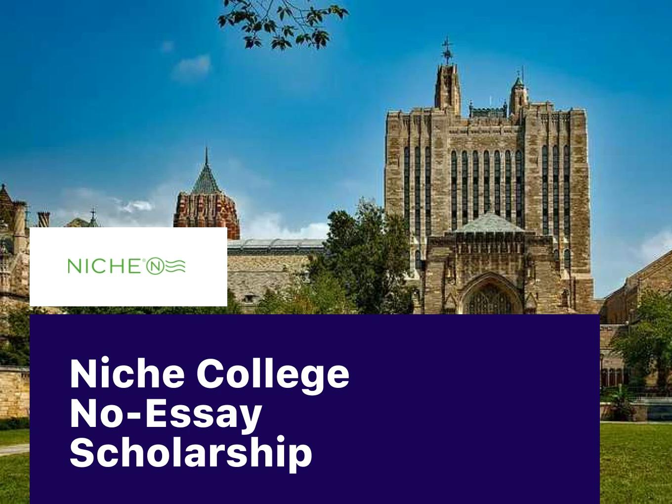 Niche College No-Essay Scholarship