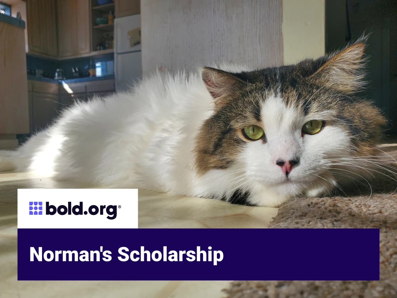Norman's Scholarship