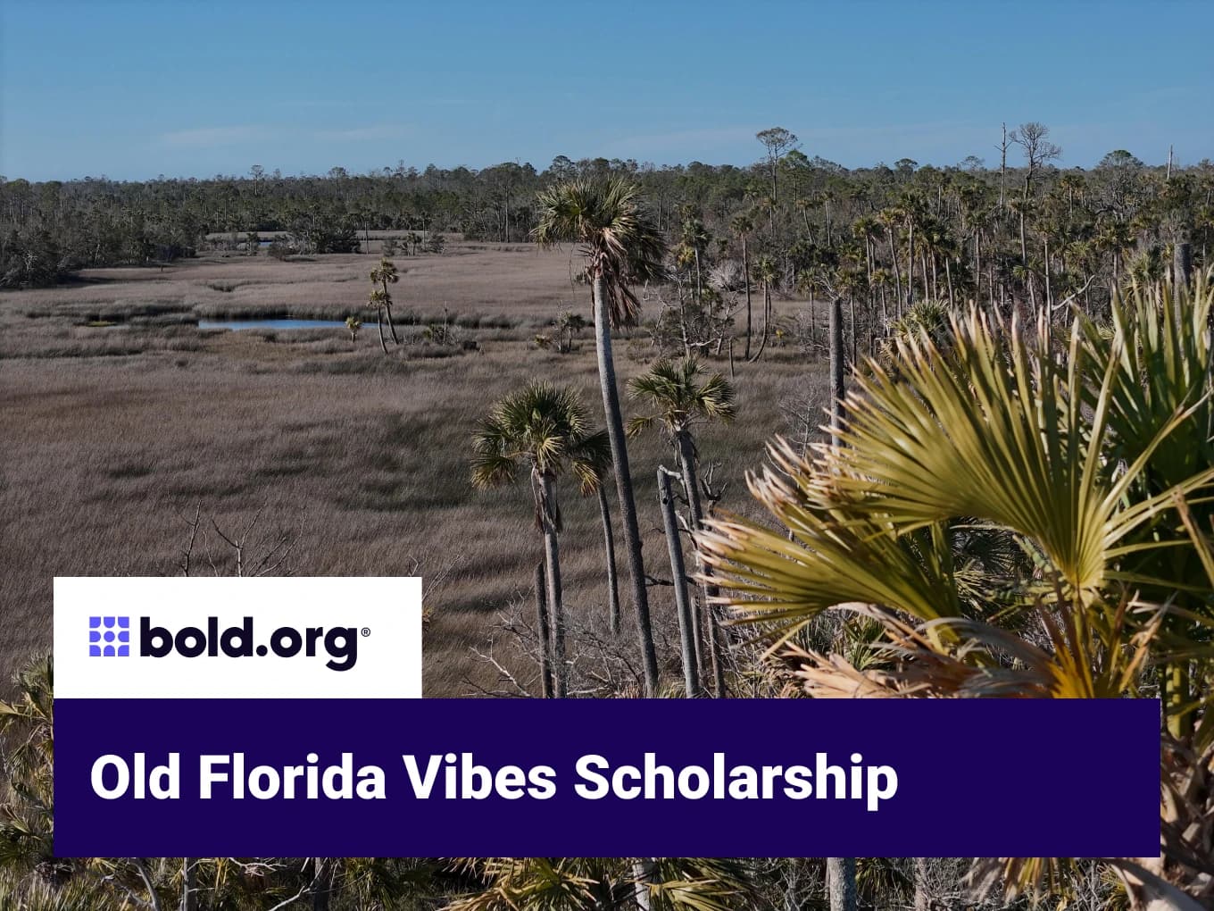 Old Florida Vibes Scholarship 