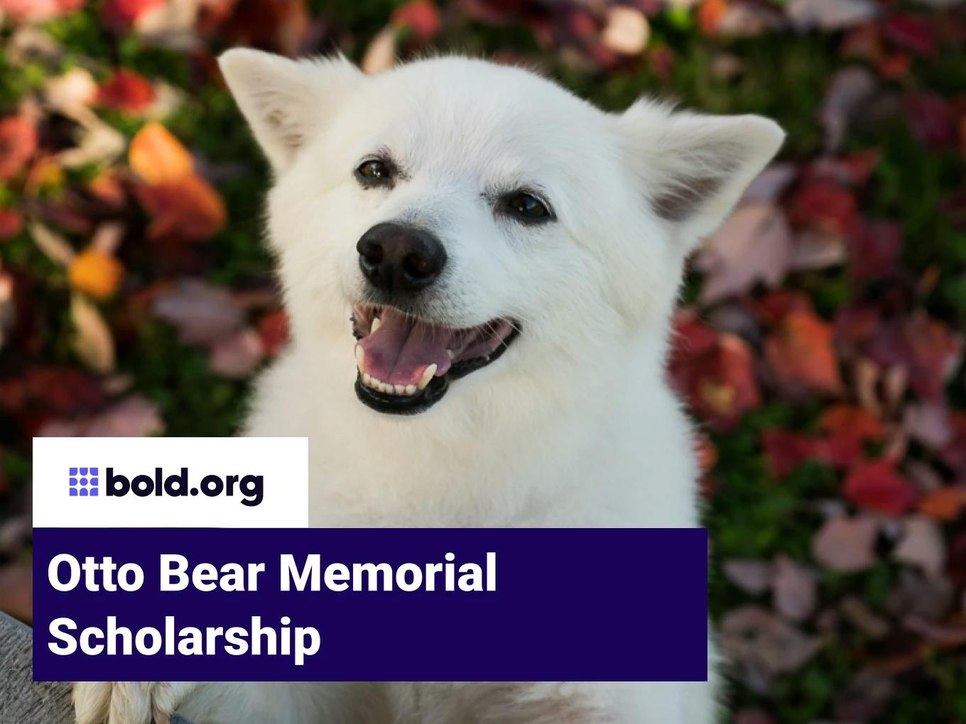 Otto Bear Memorial Scholarship