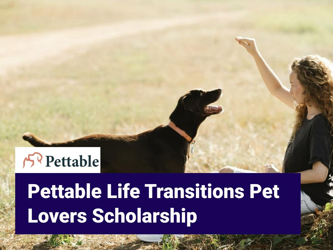 Pettable Life Transitions Pet Lovers Scholarship