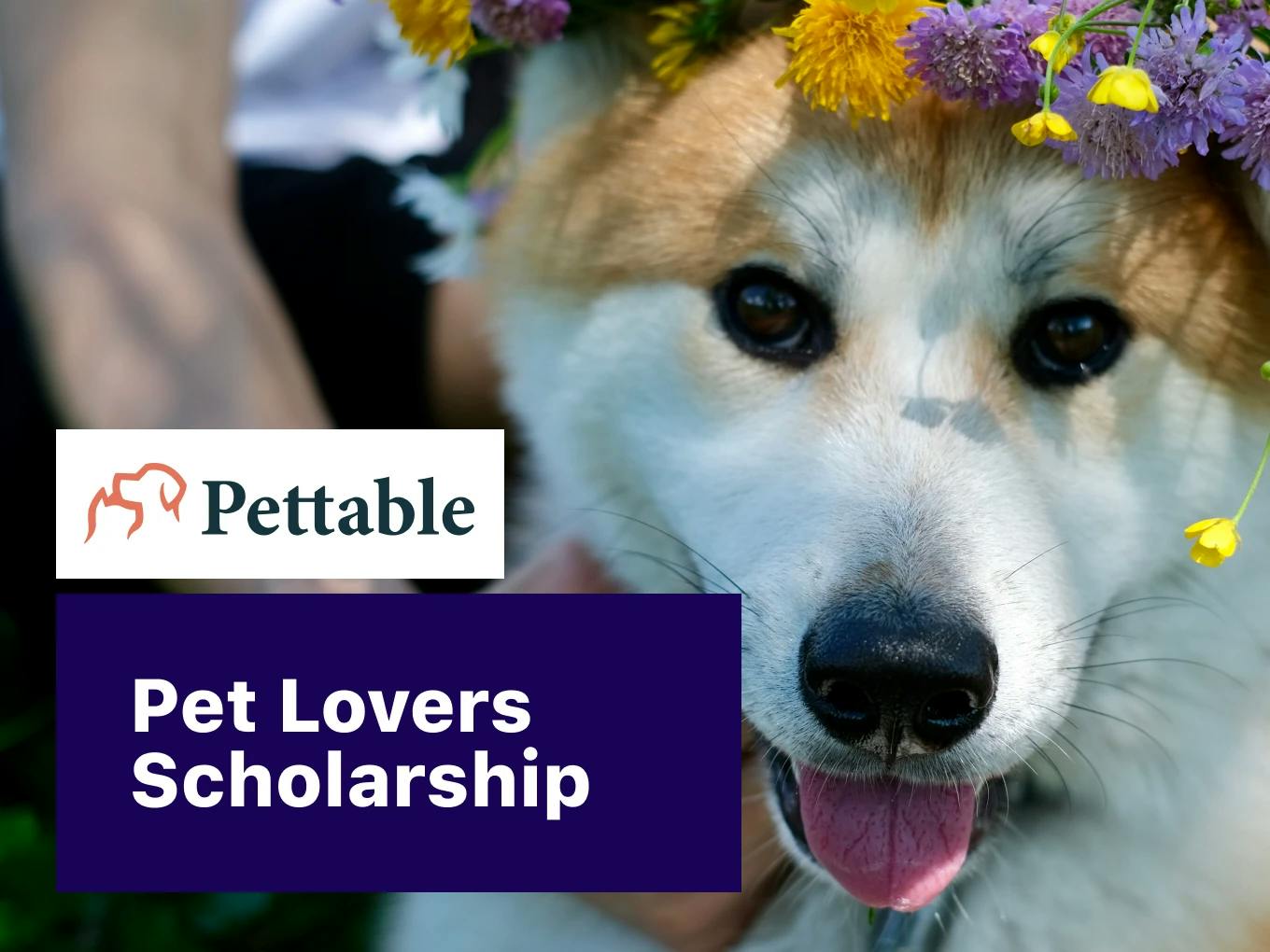Pettable Pet Lovers Scholarship
