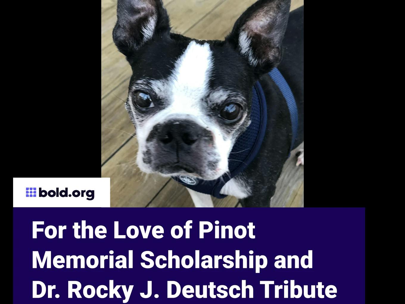 For the Love of Pinot Memorial Scholarship and Dr. Rocky J. Deutsch Tribute