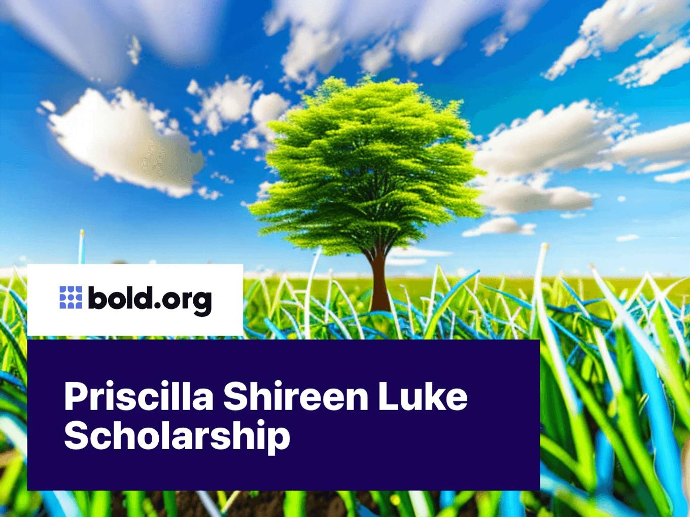 Priscilla Shireen Luke Scholarship