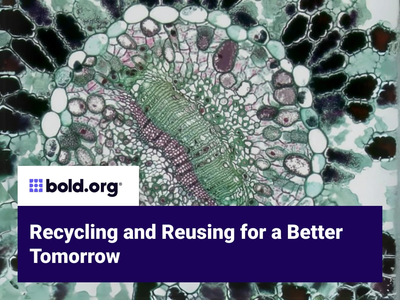 Recycling and Reusing for a Better Tomorrow