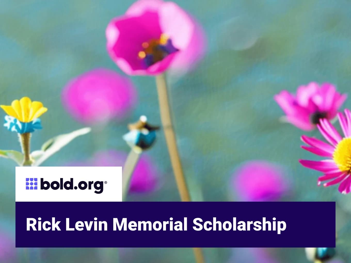 Rick Levin Memorial Scholarship