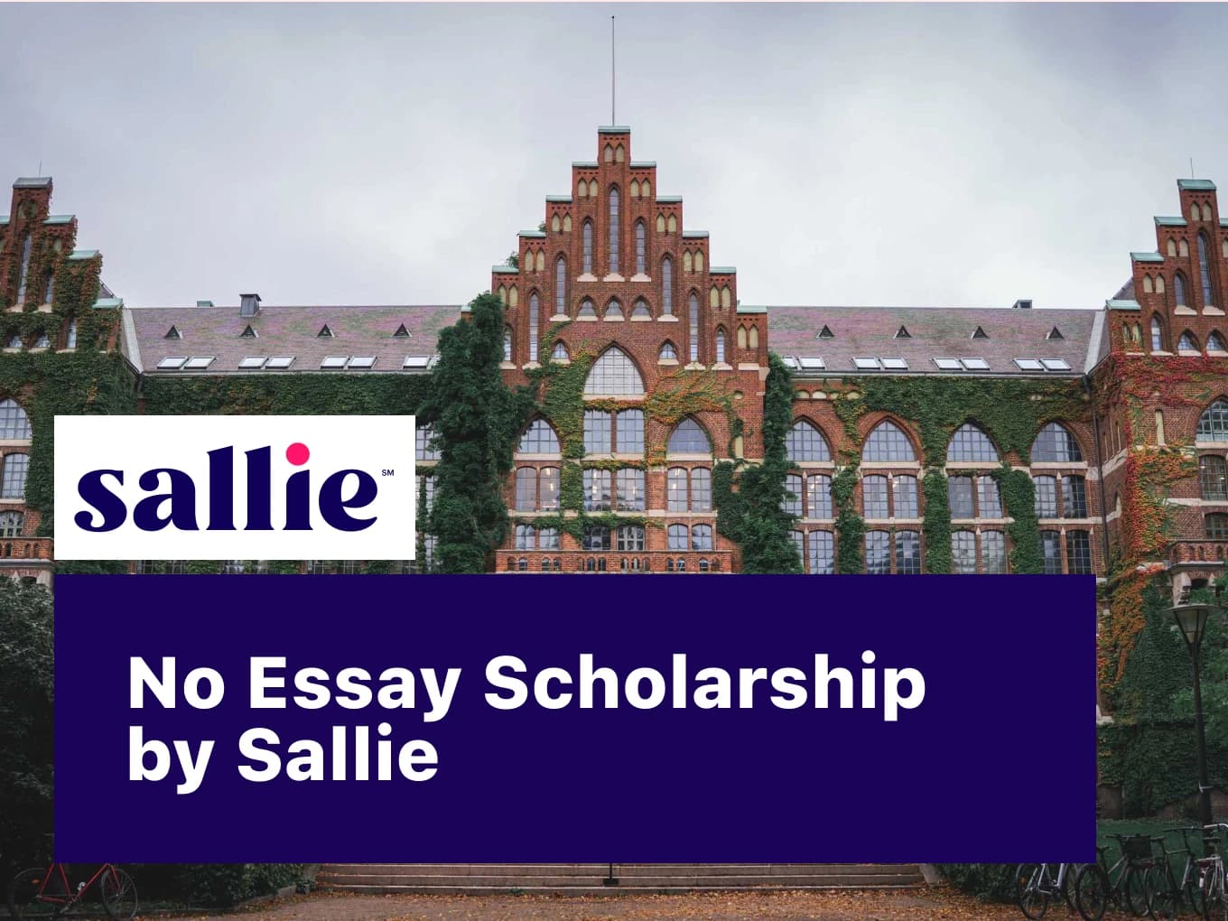 No Essay Scholarship by Sallie