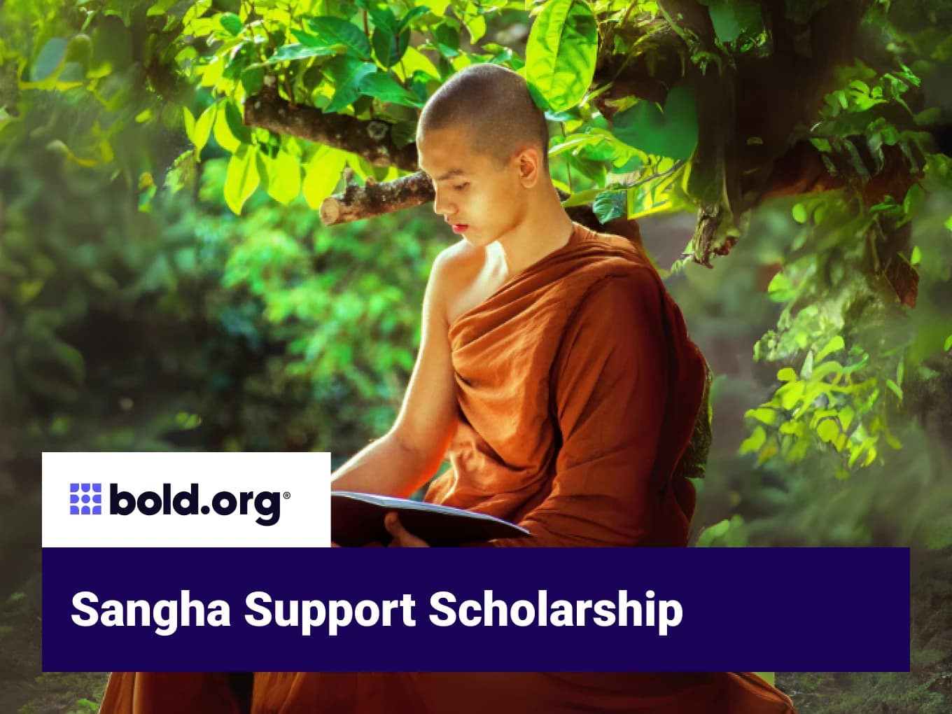 Sangha Support Scholarship
