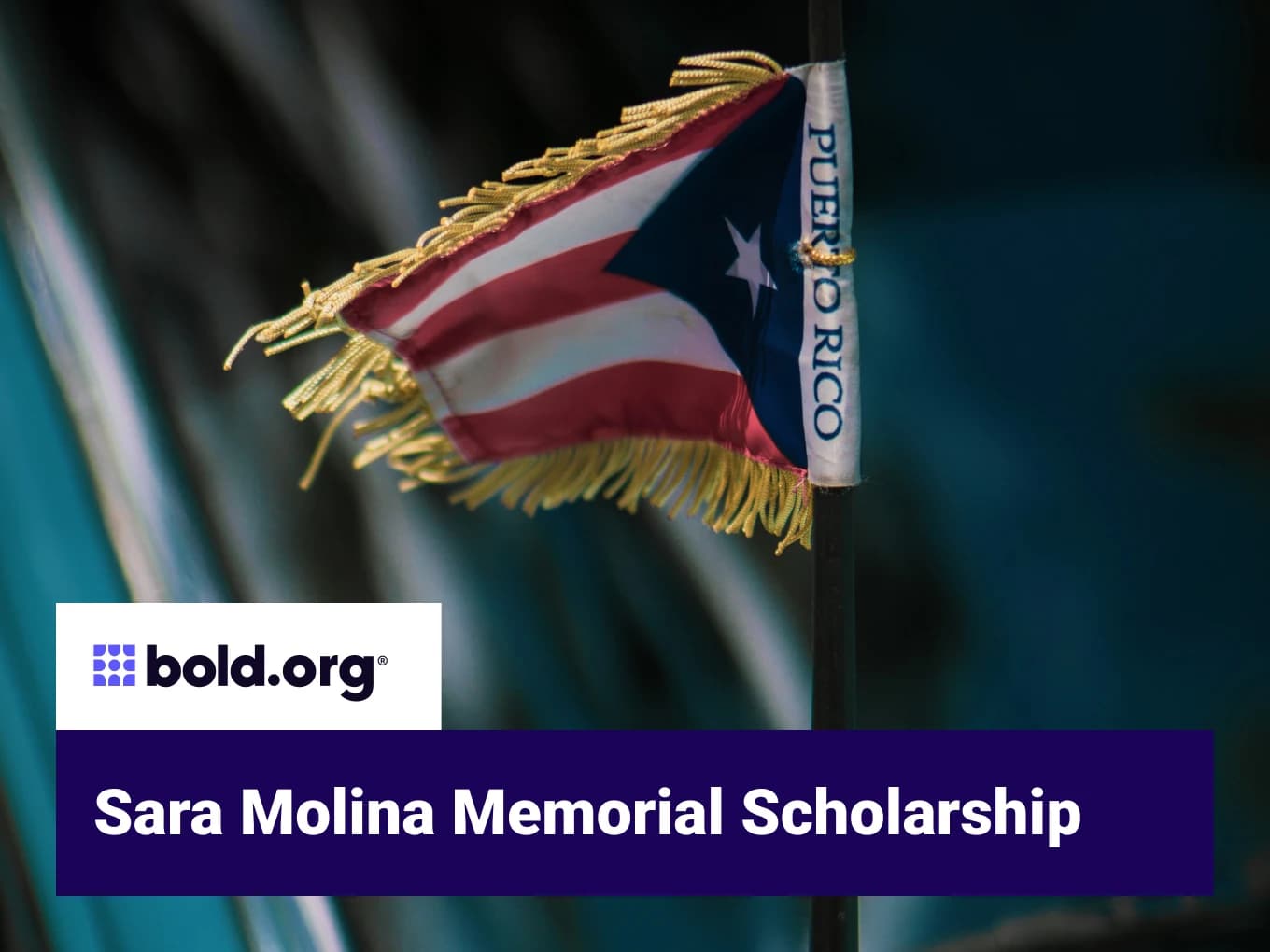 Sara Molina Memorial Scholarship