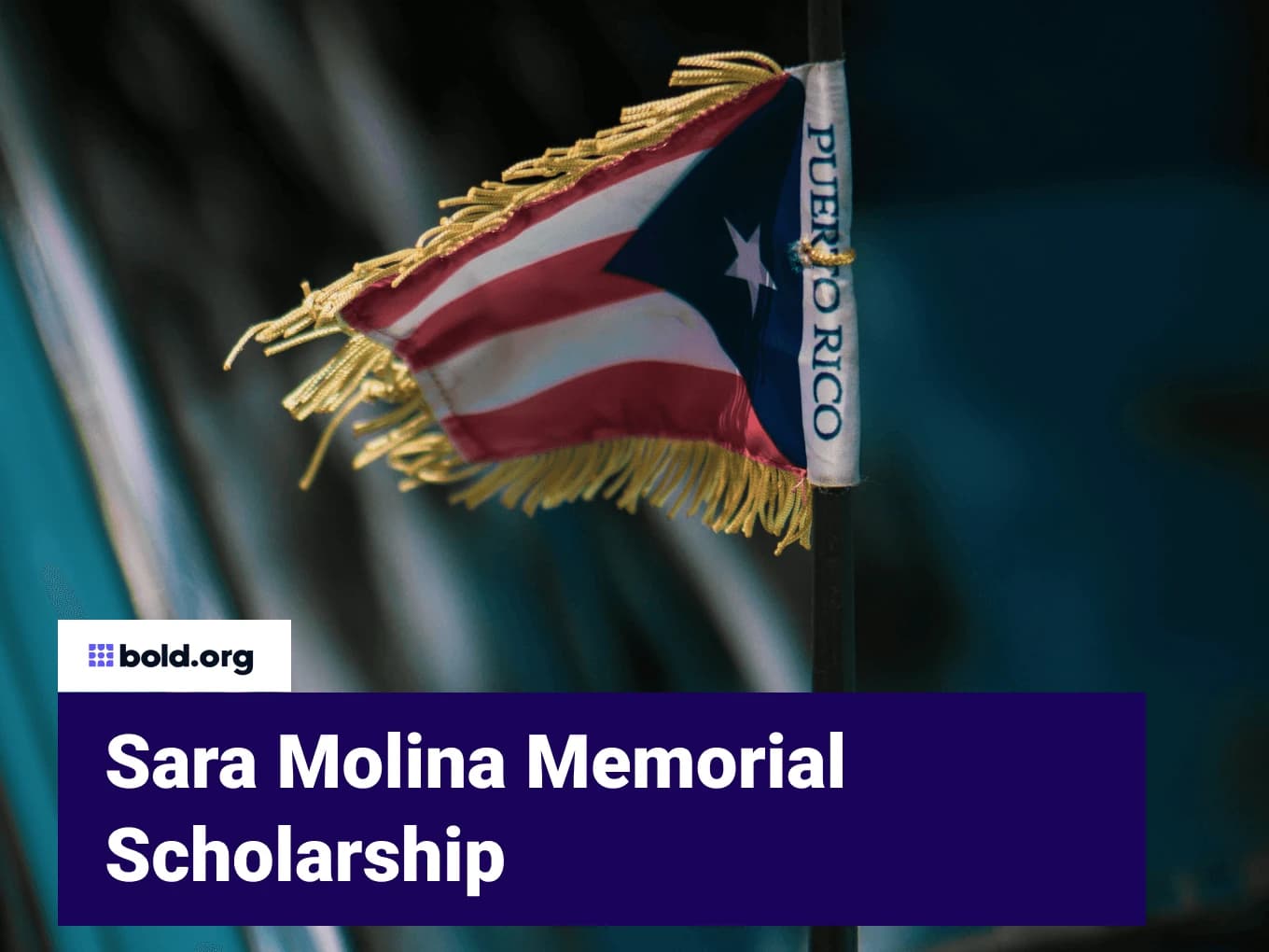 Sara Molina Memorial Scholarship