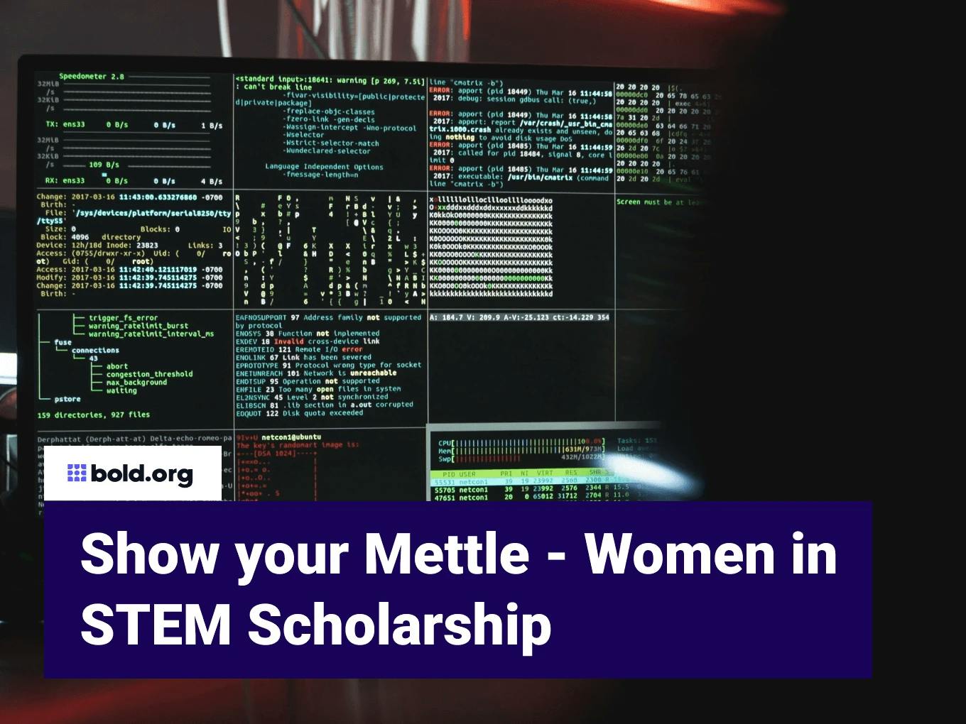 Show your Mettle - Women in STEM Scholarship