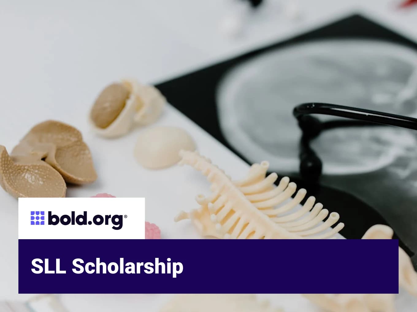 SLL Scholarship