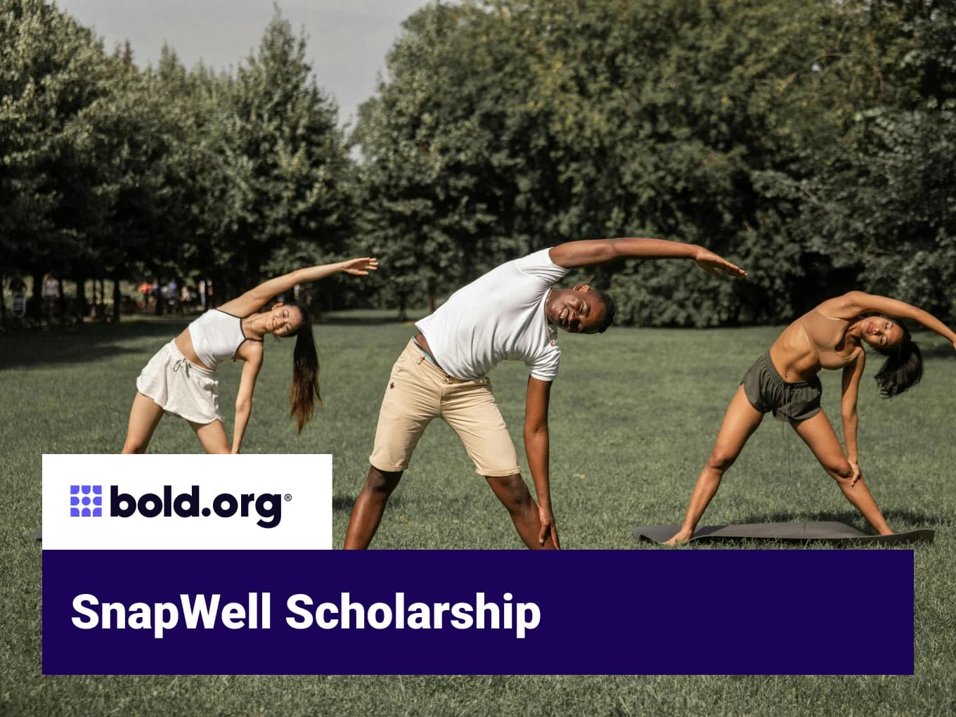 SnapWell Scholarship
