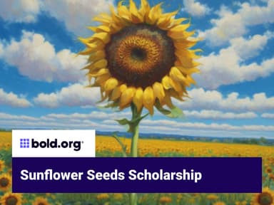 Scholarship cover image