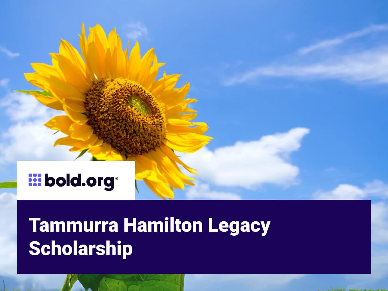 Tammurra Hamilton Legacy Scholarship