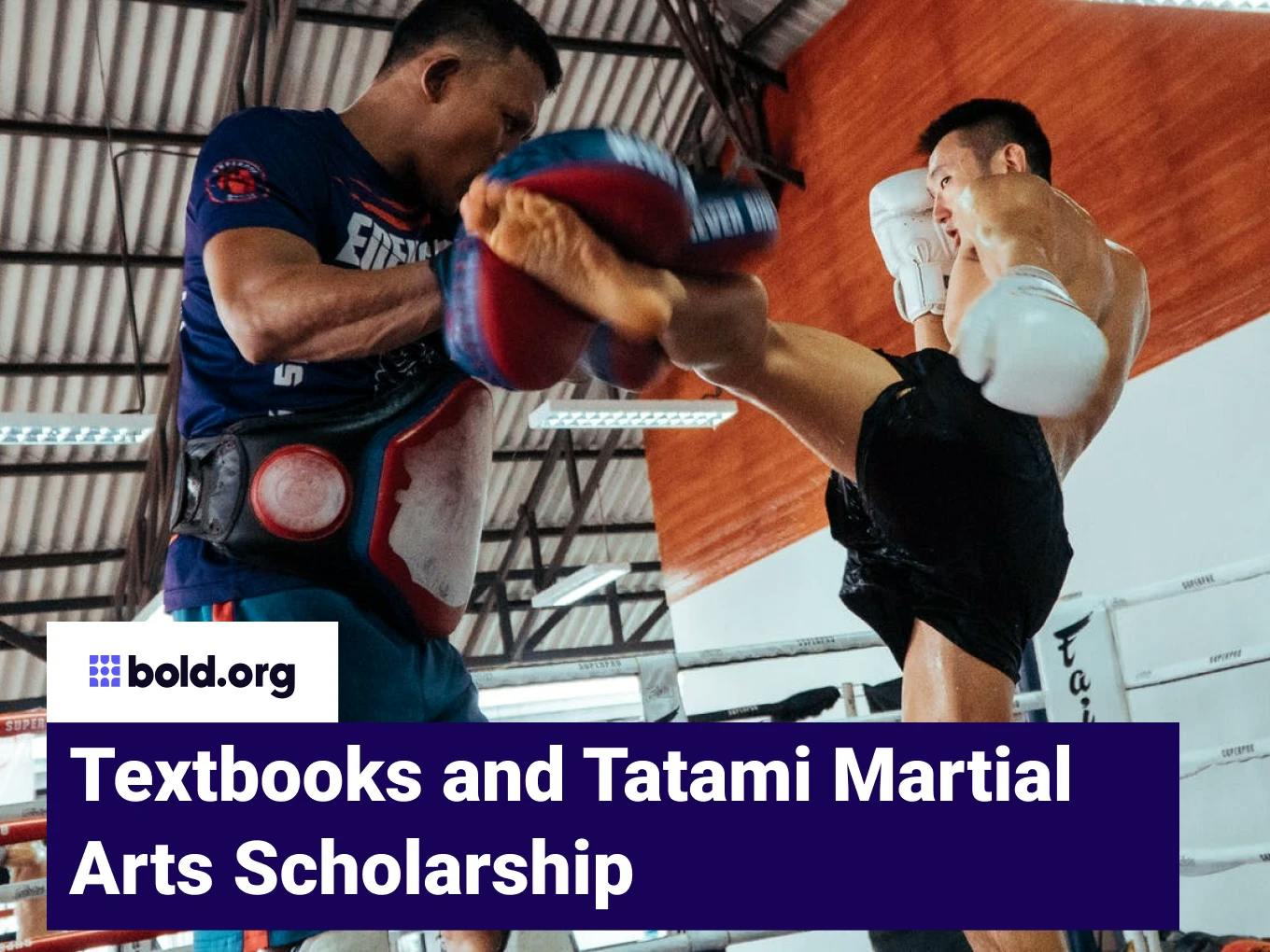 Textbooks and Tatami Martial Arts Scholarship