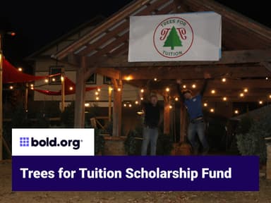 Scholarship cover image