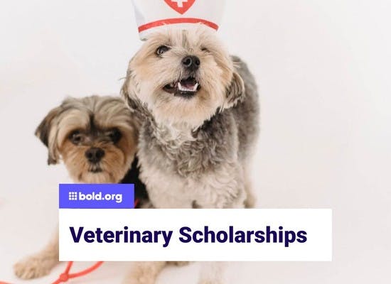 Veterinary Scholarships