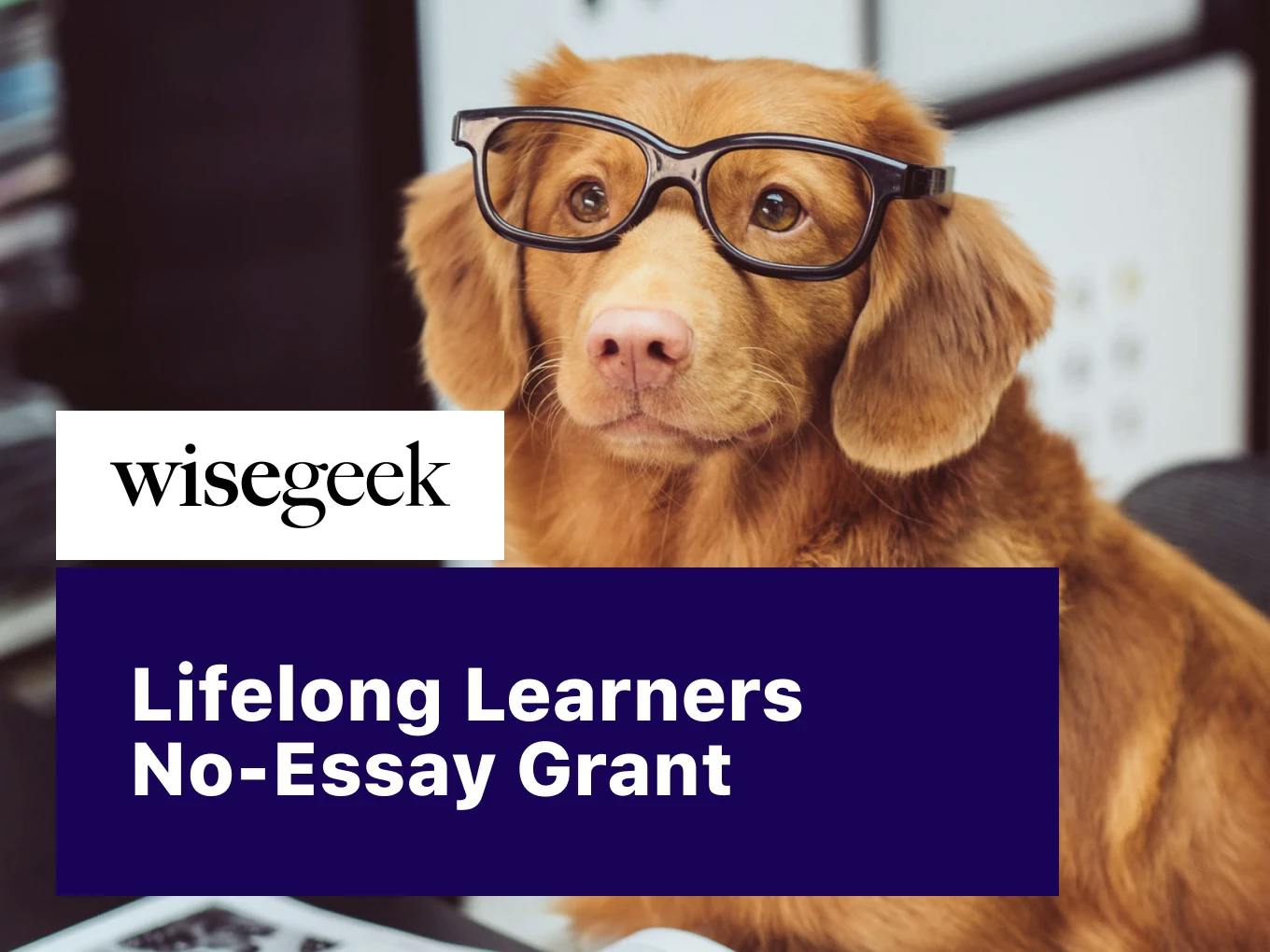 WiseGeek Lifelong Learners No-Essay Grant