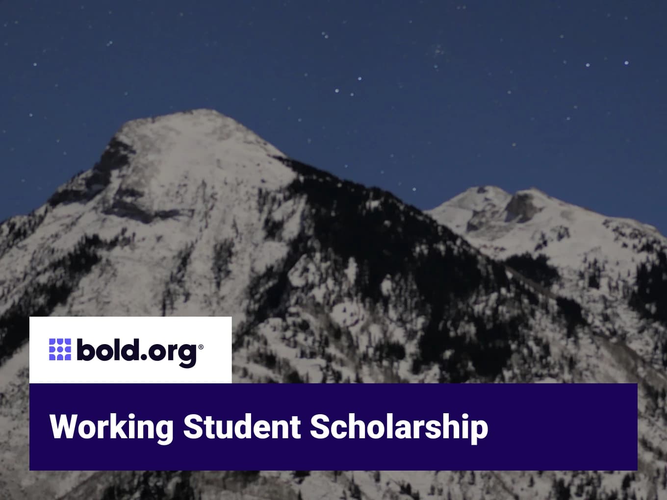Working Student Scholarship