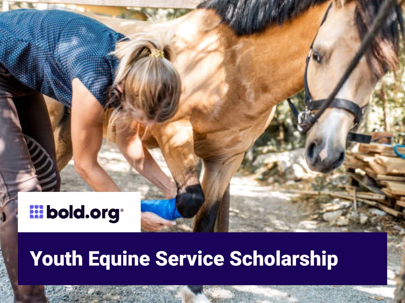 Youth Equine Service Scholarship