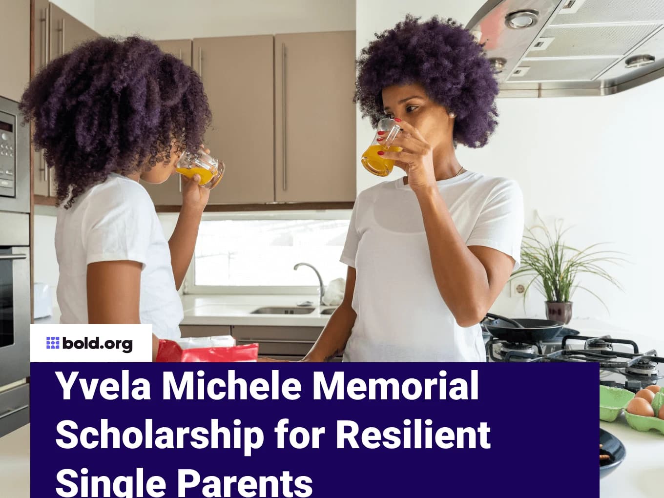 Yvela Michele Memorial Scholarship for Resilient Single Parents