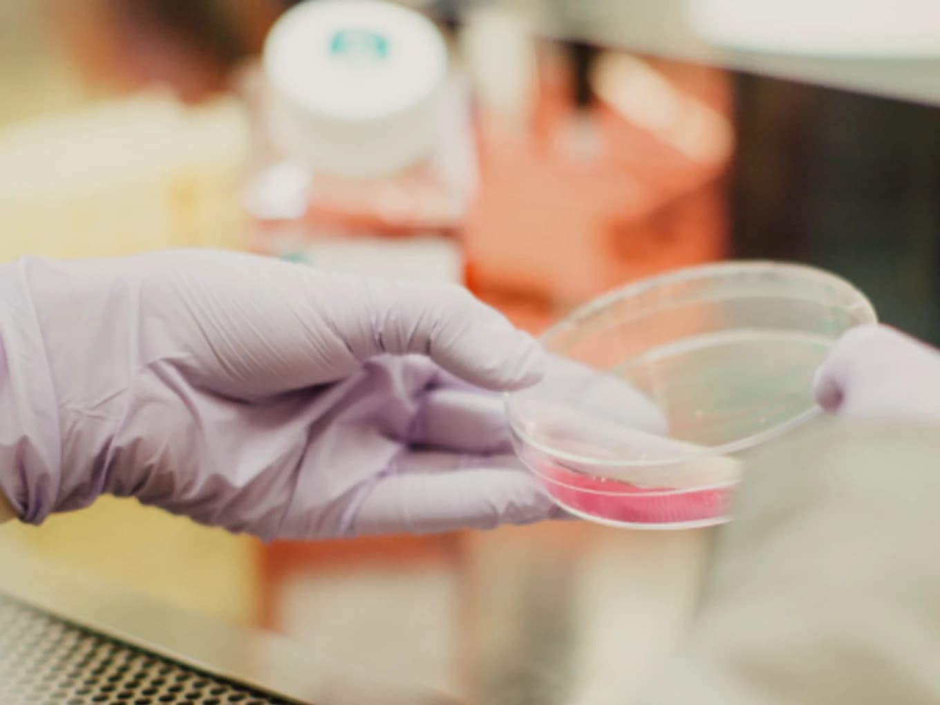 Zachary Scheppat Memorial Science Scholarship Fund
