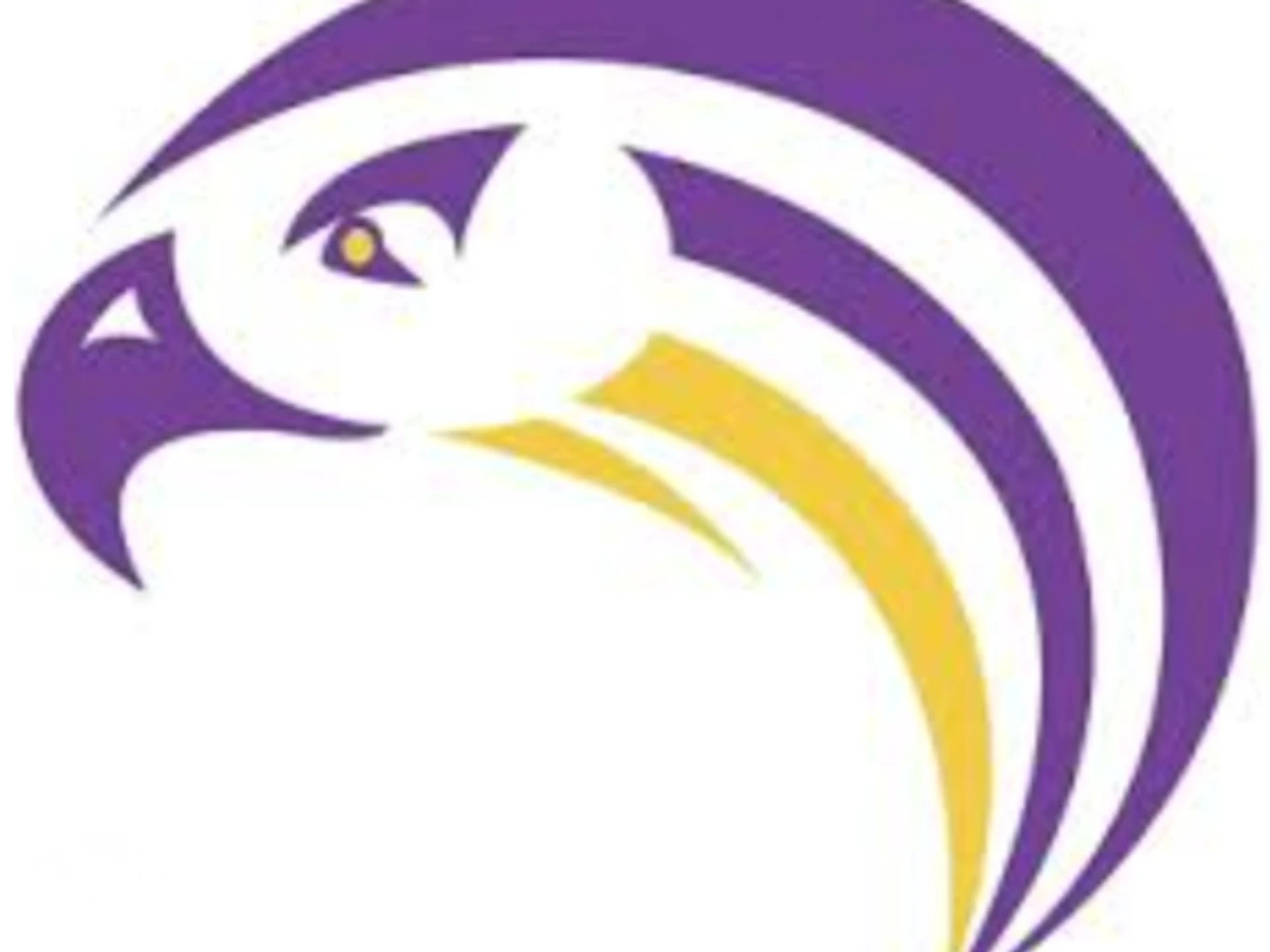 Aiken c/o 1979 Falcon Pride Scholarship Fund