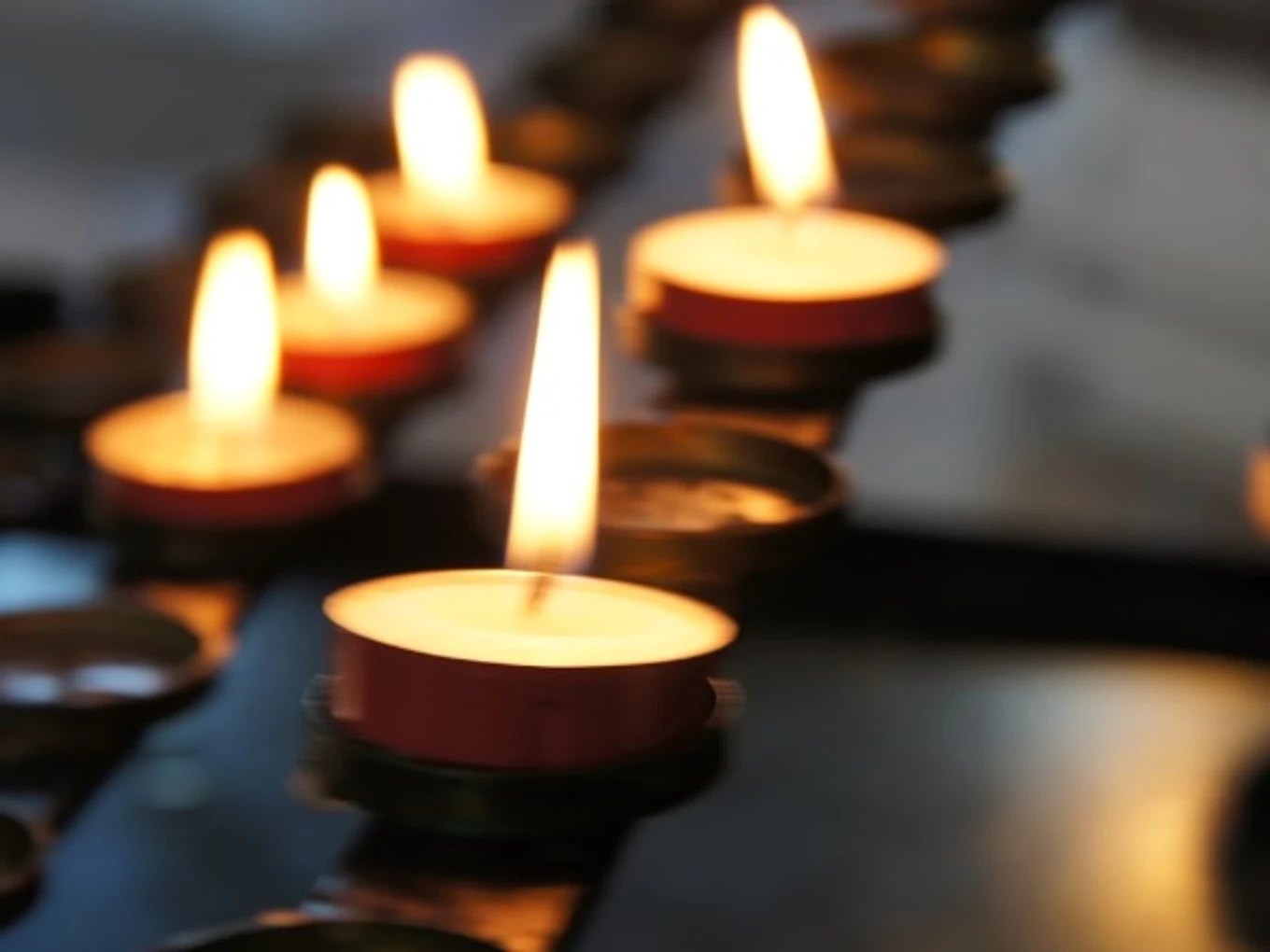 B. Truelove Leadership Scholarship Fund