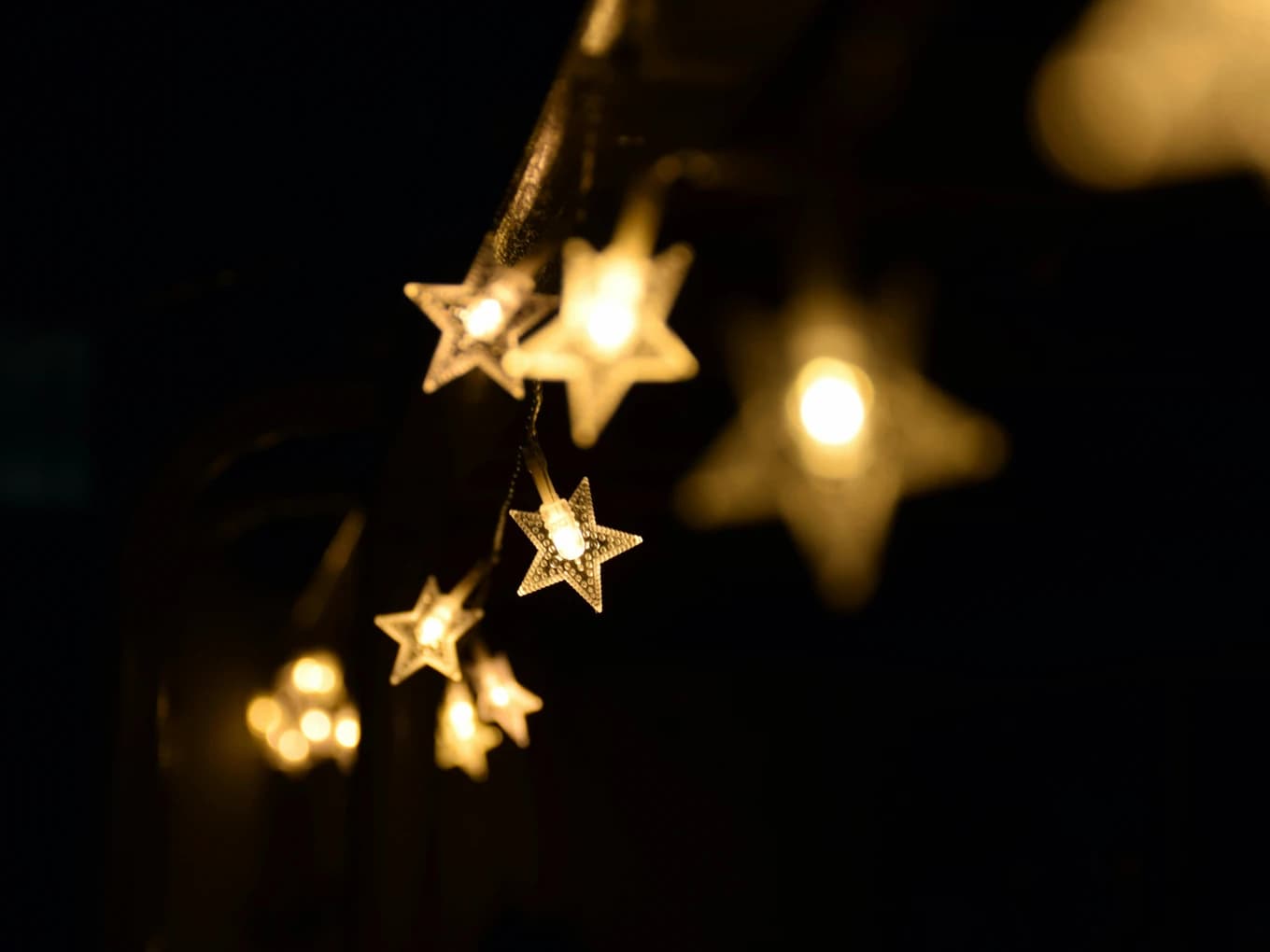 Rising Star Scholarship Fund