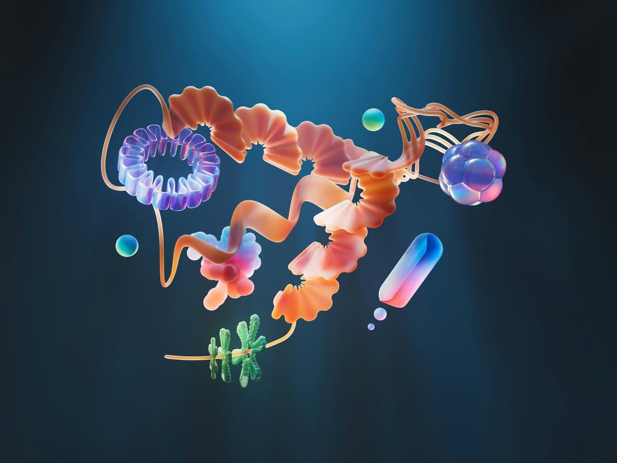 Fund cover image