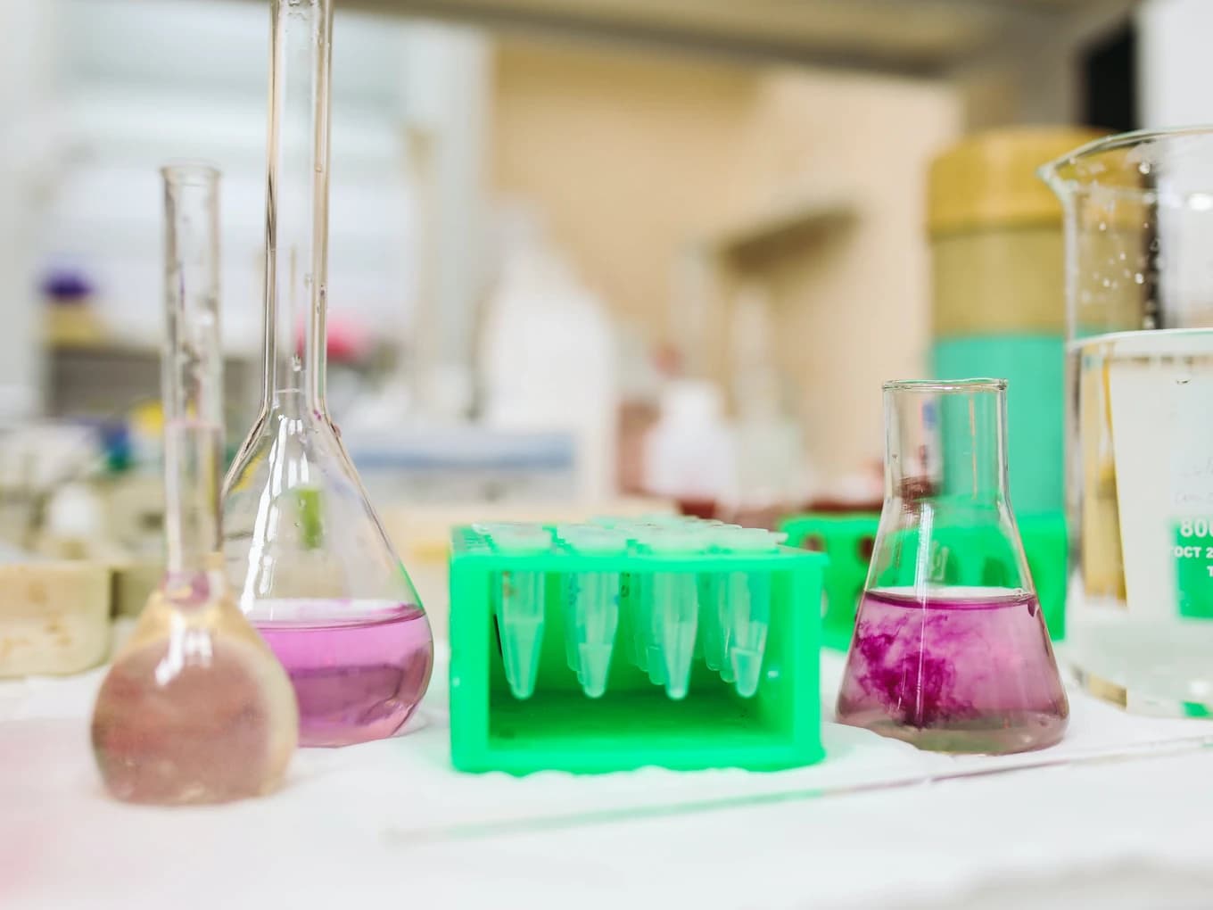 Diversity in STEM and Lab Leadership Scholarship Fund