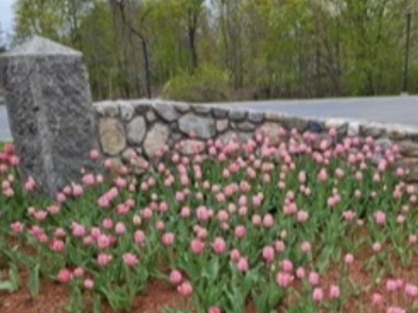 Jay Curry Eternal Garden Scholarship Fund