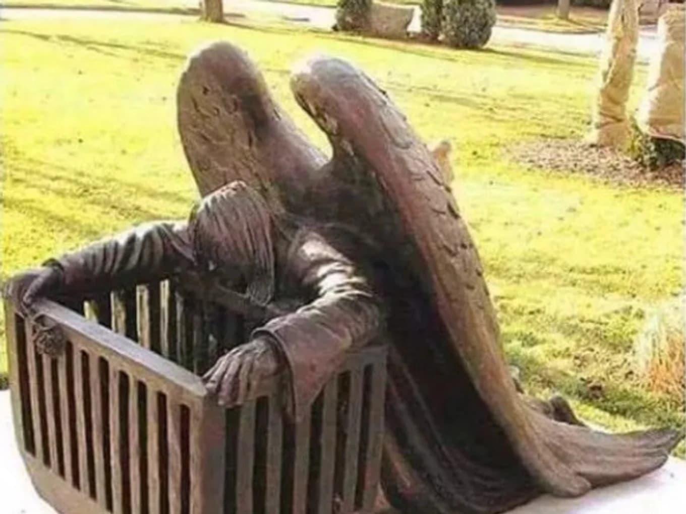 Prolife-For Life and Human Dignity