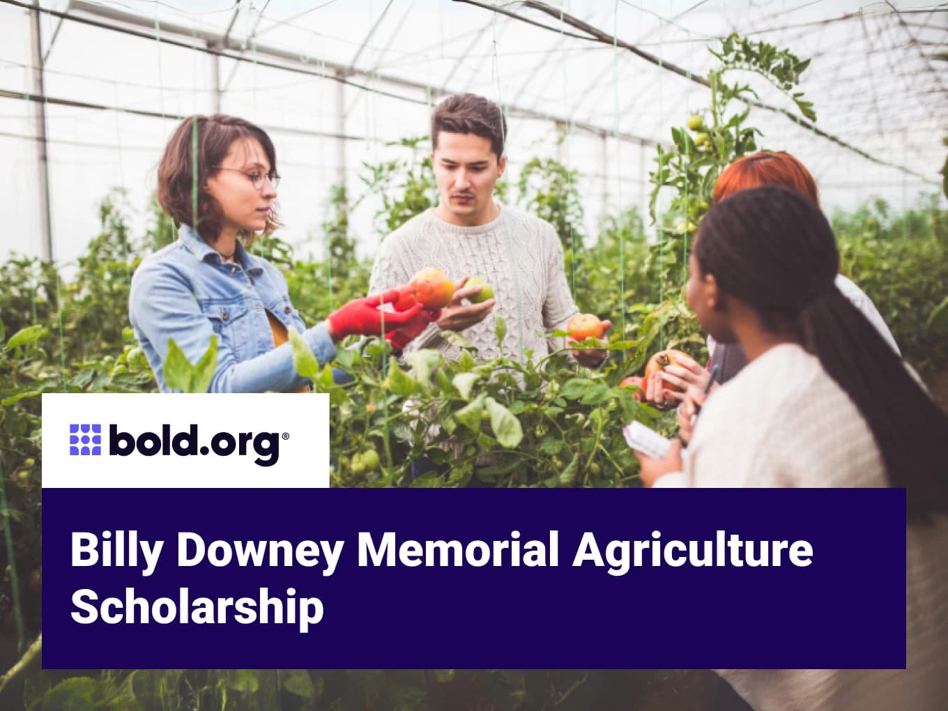 Billy Downey Memorial Agriculture Scholarship
