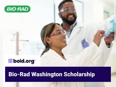 Scholarship cover image