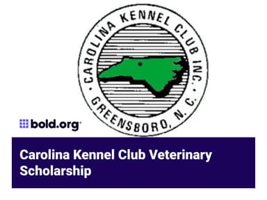 Scholarship cover image