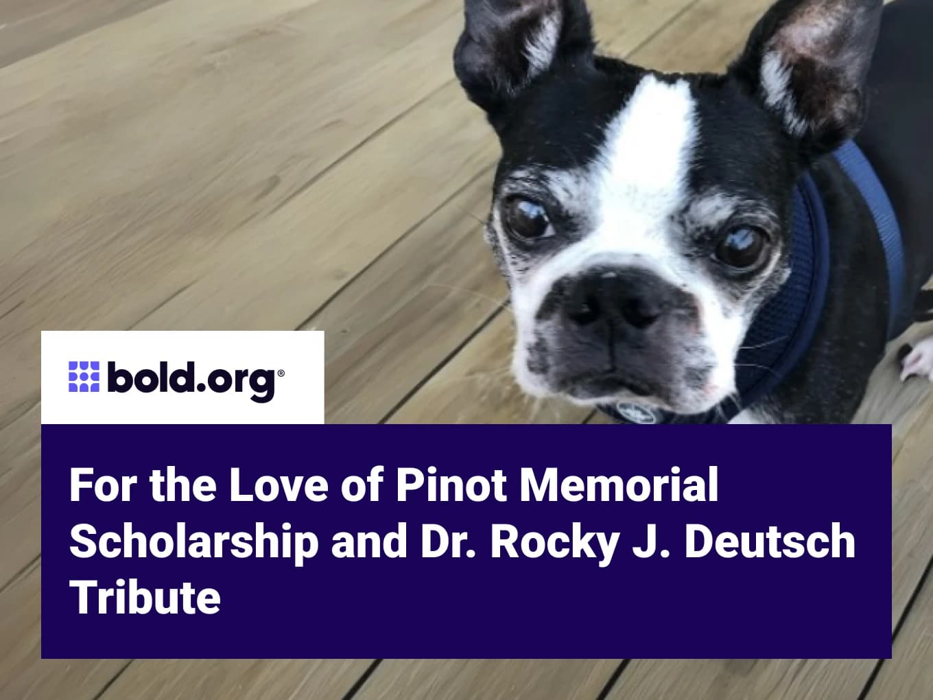For the Love of Pinot Memorial Scholarship and Dr. Rocky J. Deutsch Tribute