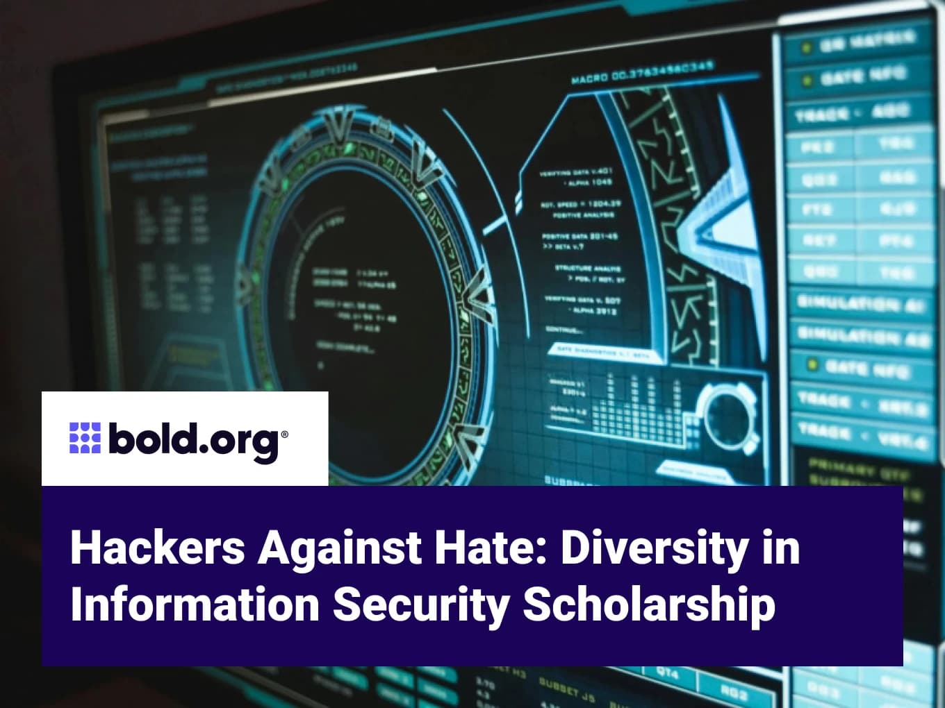 Hackers Against Hate: Diversity in Information Security Scholarship