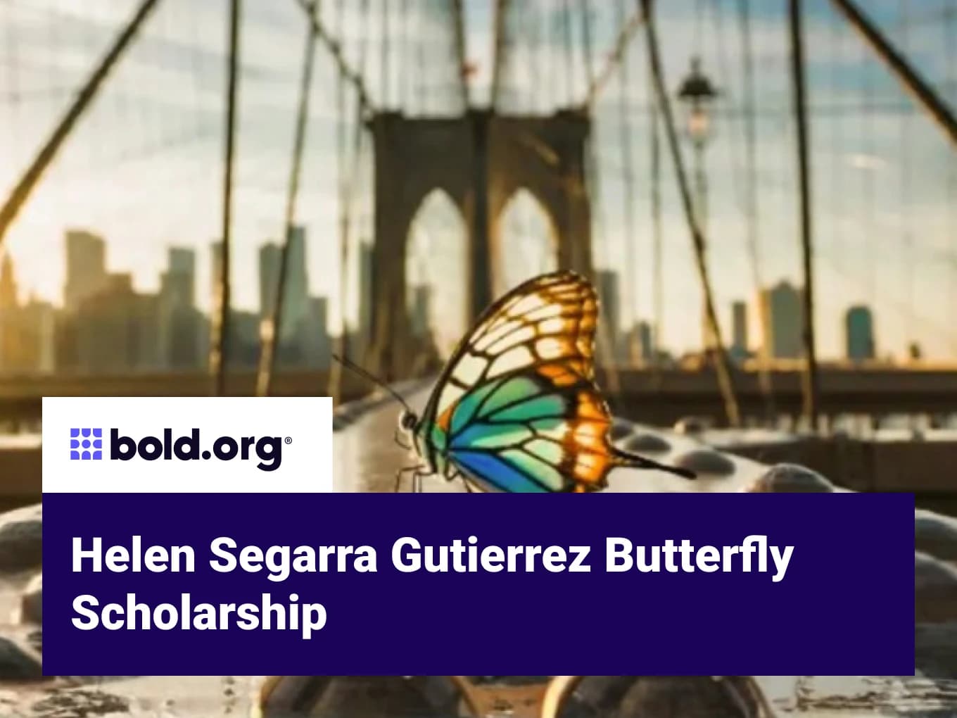 Helen Segarra Gutierrez Butterfly Scholarship